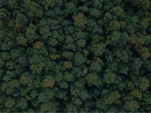 Beginnen Sie Ihre Reise zur Nachhaltigkeit